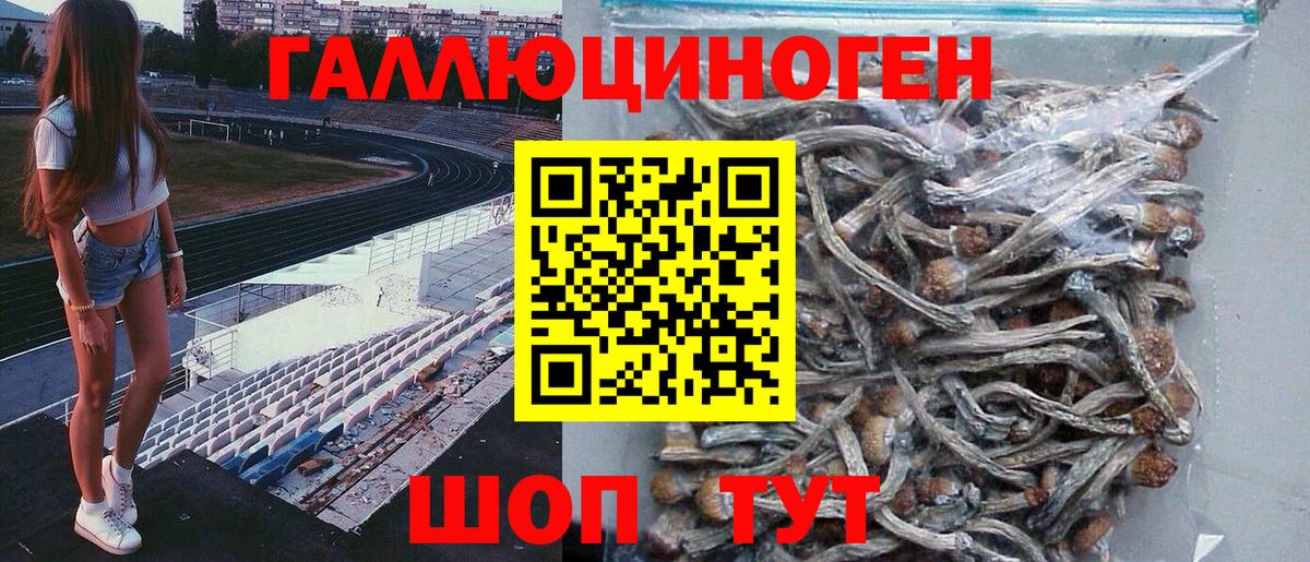 Галлюциногенные грибы MAGIC MUSHROOMS  Галлюциногенные грибы Magic Shrooms  Ликино-Дулёво  Вход с VPN 